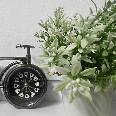 Comfy Close To Park Appartamento *