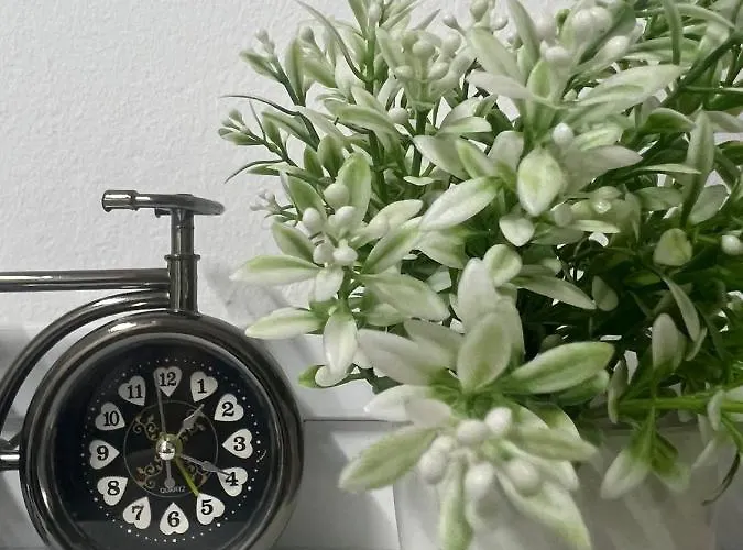 Comfy Close To Park Appartamento *